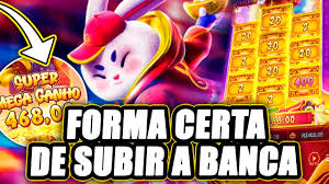 horario do fortune rabbit